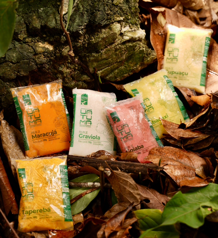 Polpas de Frutas da Amazônia