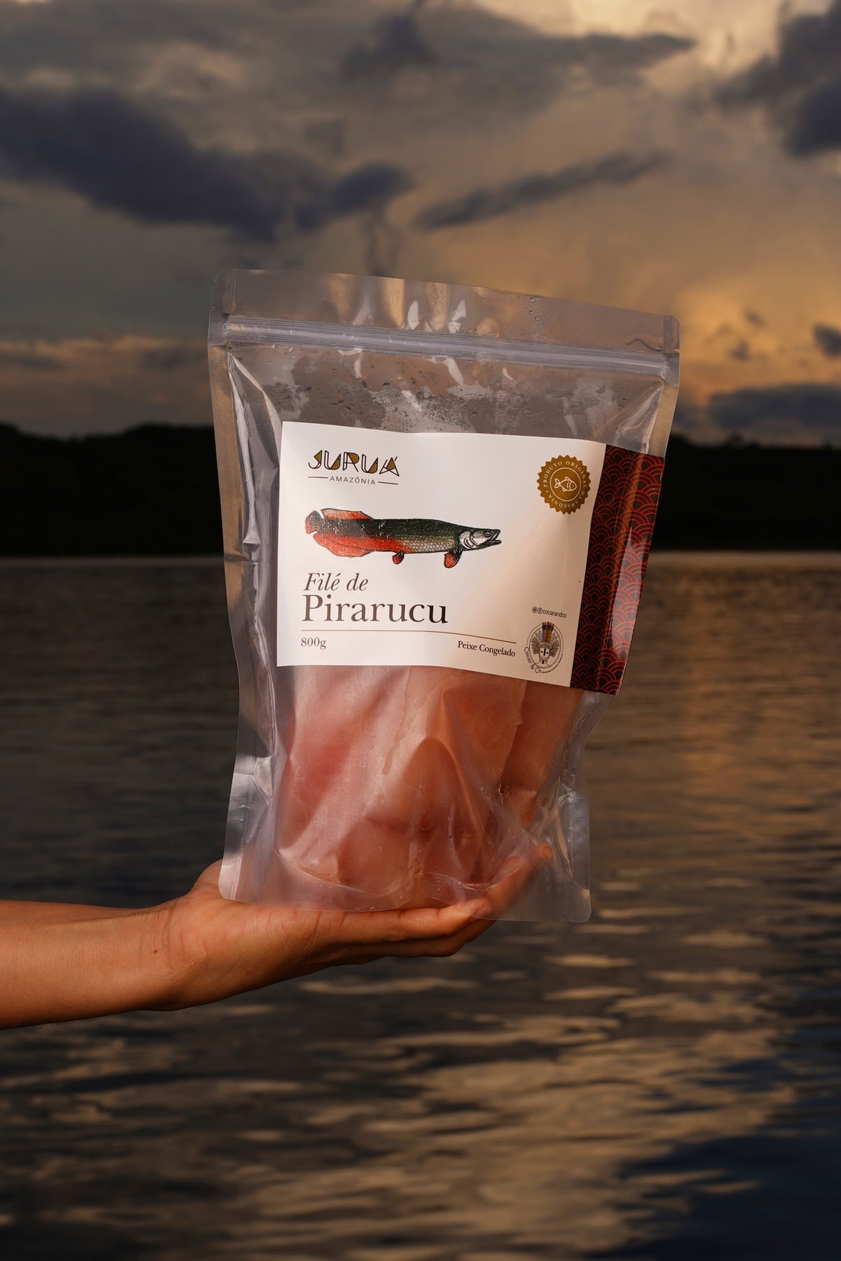 Filé de Pirarucu - pct 800g