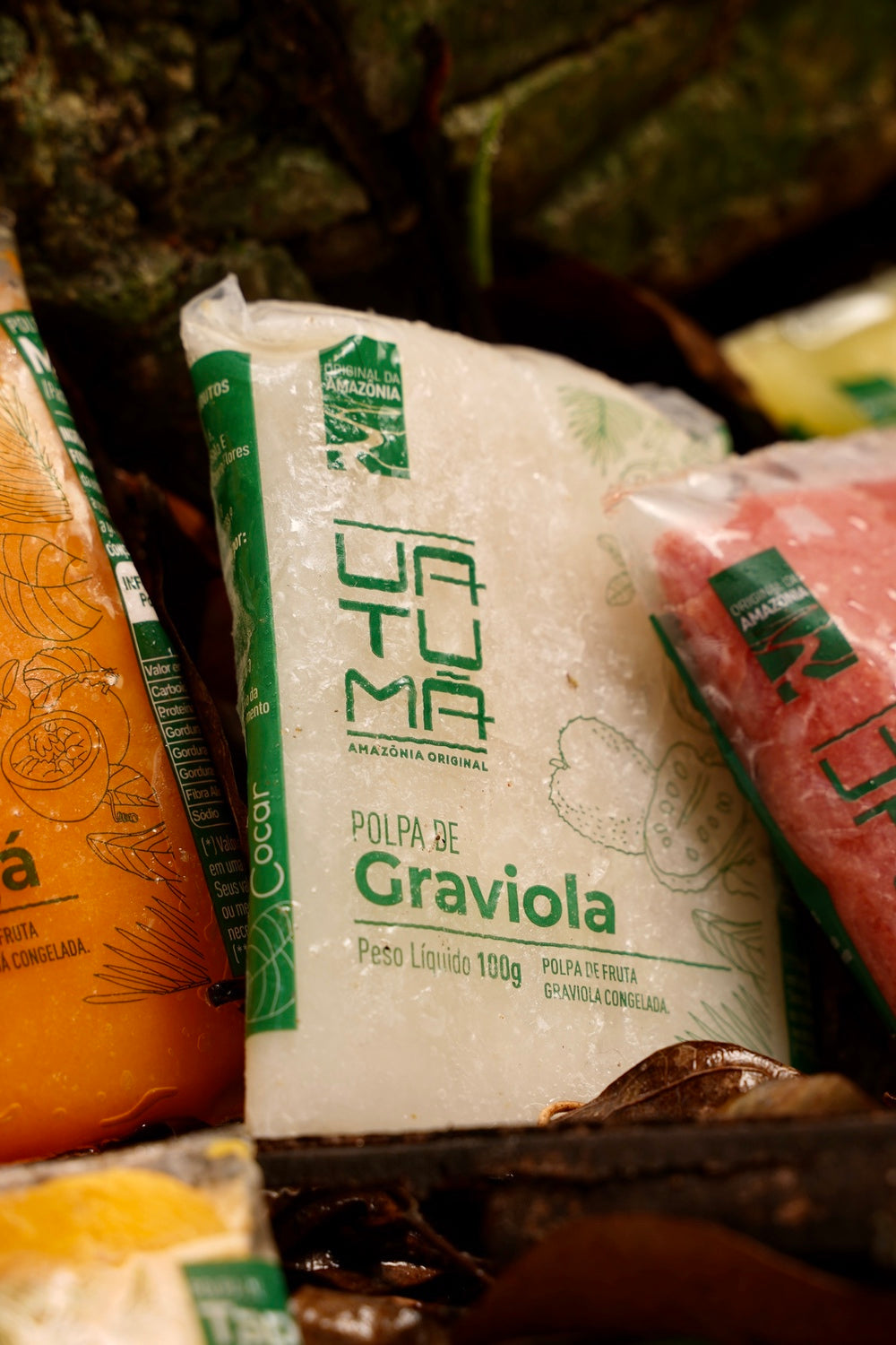Graviola - Polpa de Fruta 100g ( embalagem com 10 pacotes de 100g)